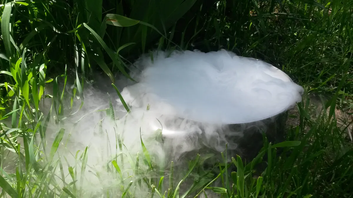 Traitement des nuisibles sans produit chimique : ça marche ?