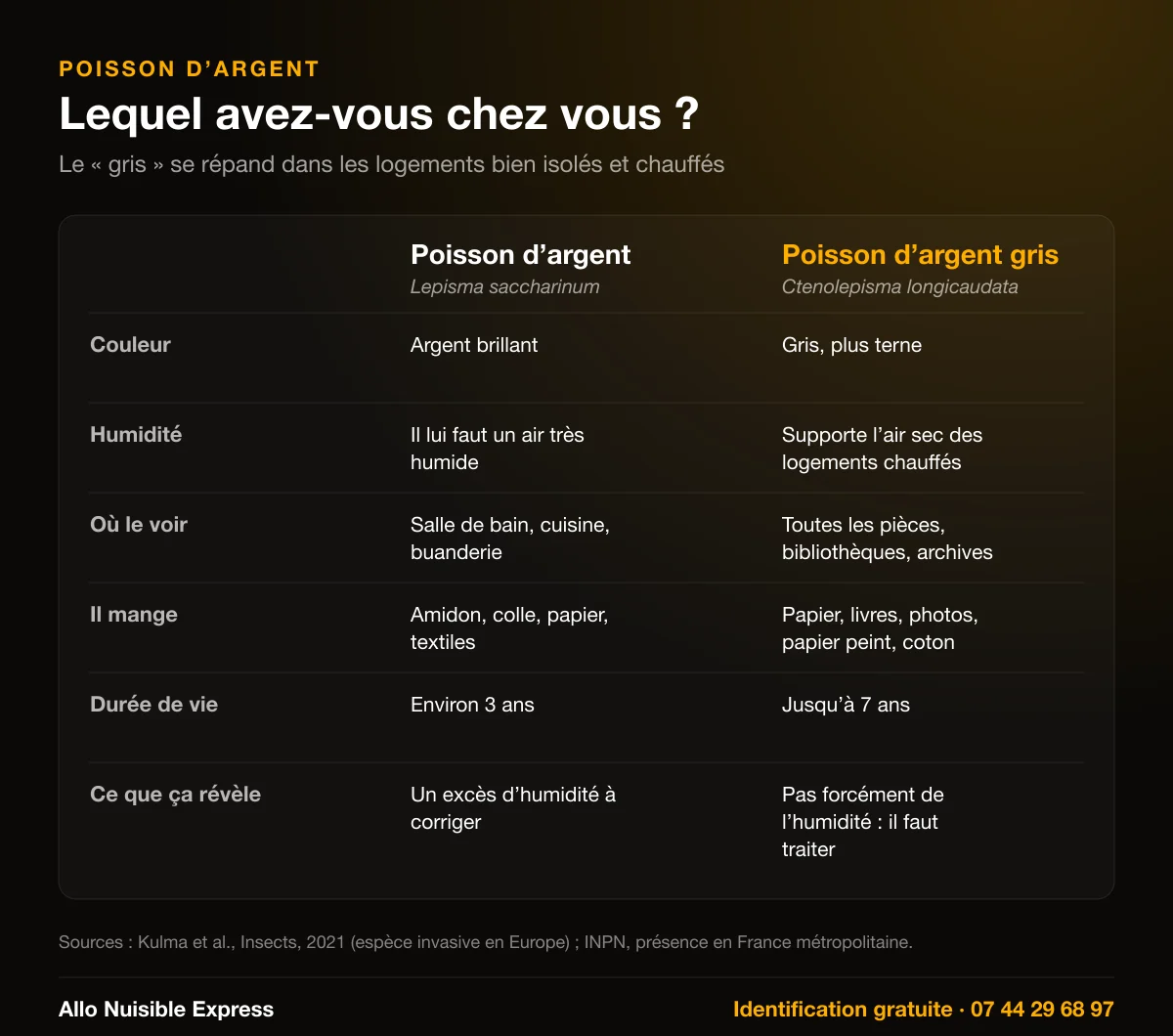 Infographie : poisson d'argent classique ou poisson d'argent gris, couleur, humidité, lieux, dégâts, durée de vie et ce que sa présence révèle