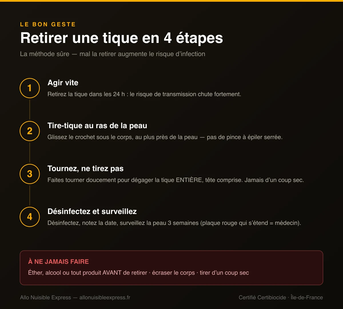 Infographie : retirer une tique en 4 étapes, agir vite, tire-tique au ras de la peau, tourner sans tirer, désinfecter et surveiller ; avec les erreurs à ne jamais faire