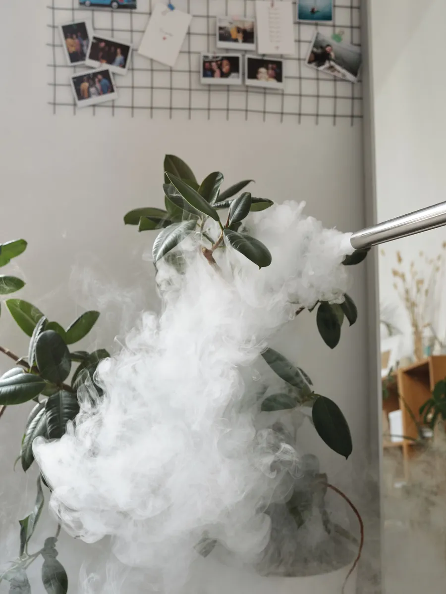 Vapeur appliquée sur une plante verte, traitement écologique sans produit chimique