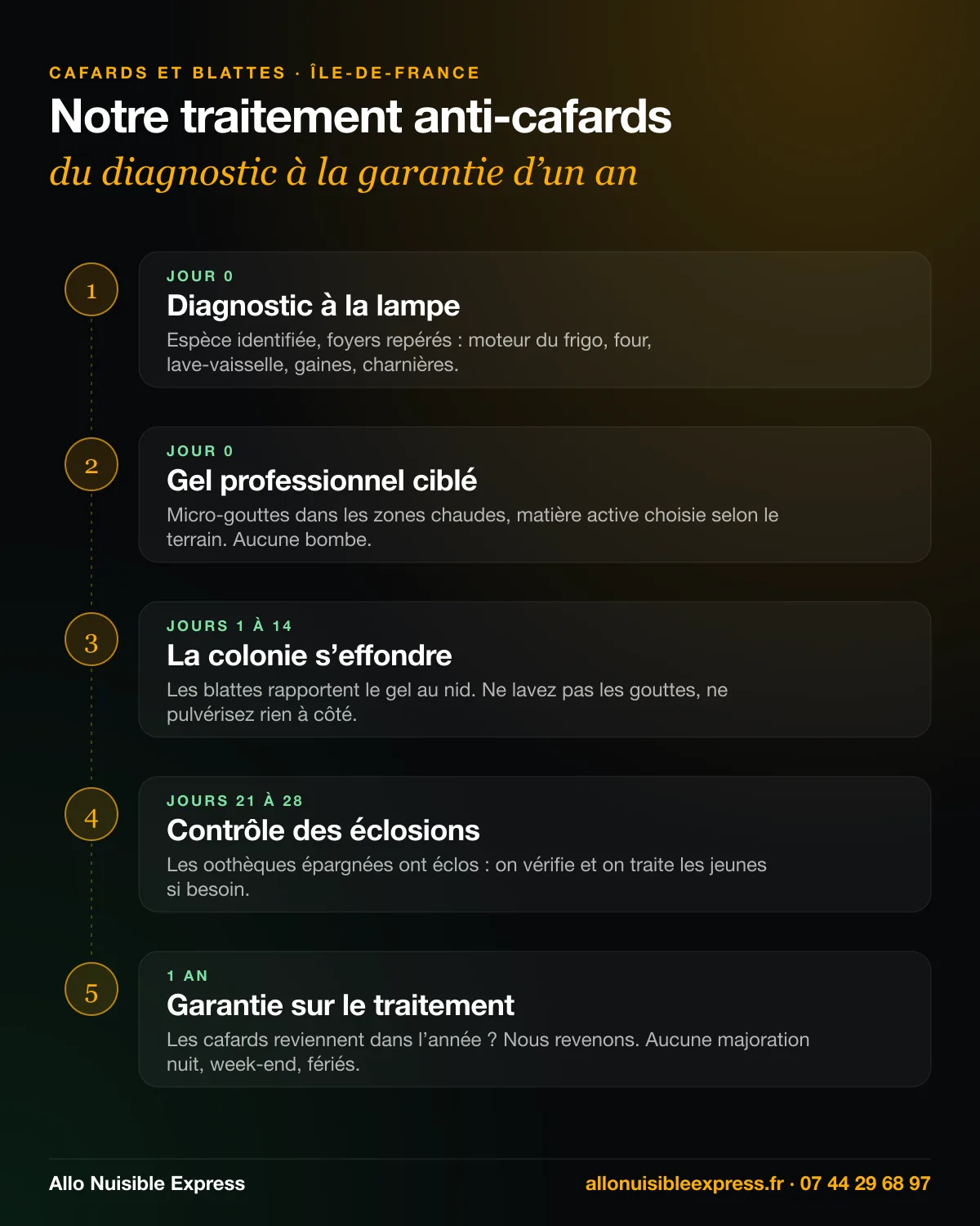 Infographie : traitement anti-cafards en 5 temps, diagnostic, gel professionnel, effondrement de la colonie, contrôle des éclosions à 3 ou 4 semaines, garantie 1 an