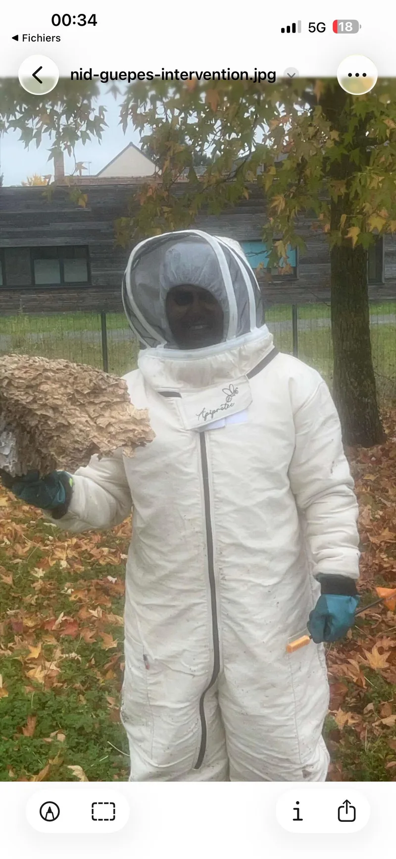 Technicien en combinaison tenant un nid de guêpes retiré lors d'une intervention