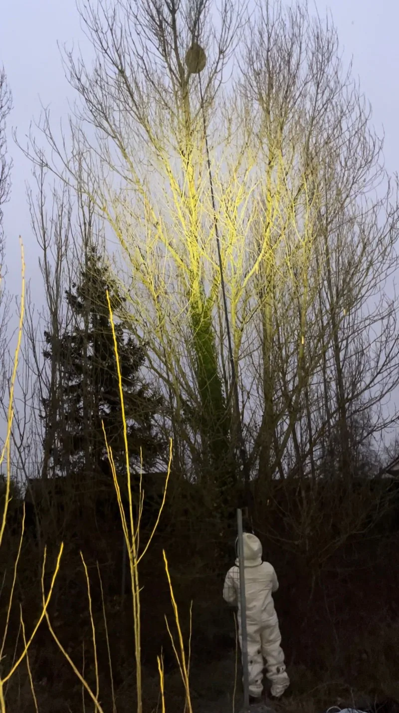 Intervention nocturne avec perche télescopique éclairée