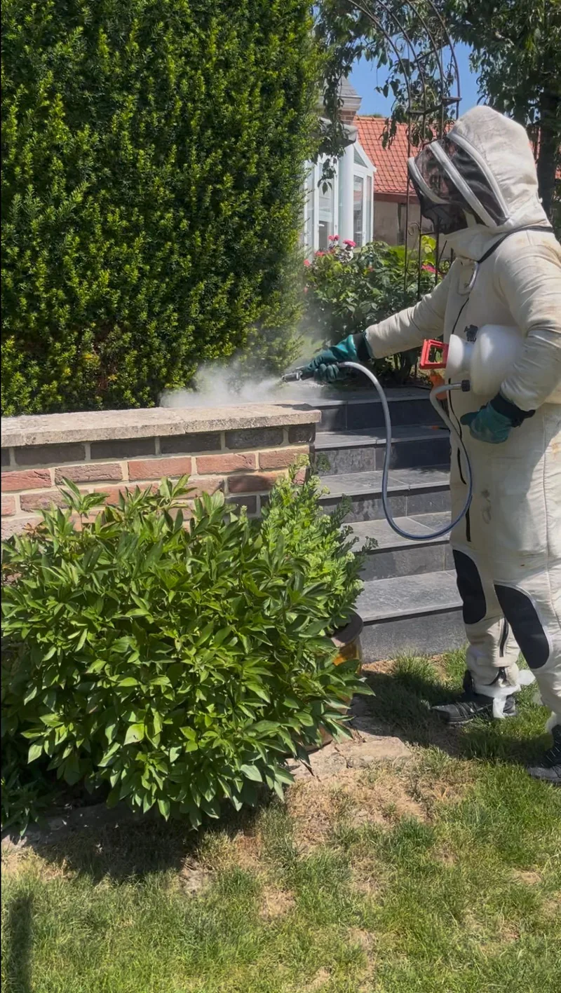 Technicien Allo Nuisible Express en intervention de pulverisation exterieure