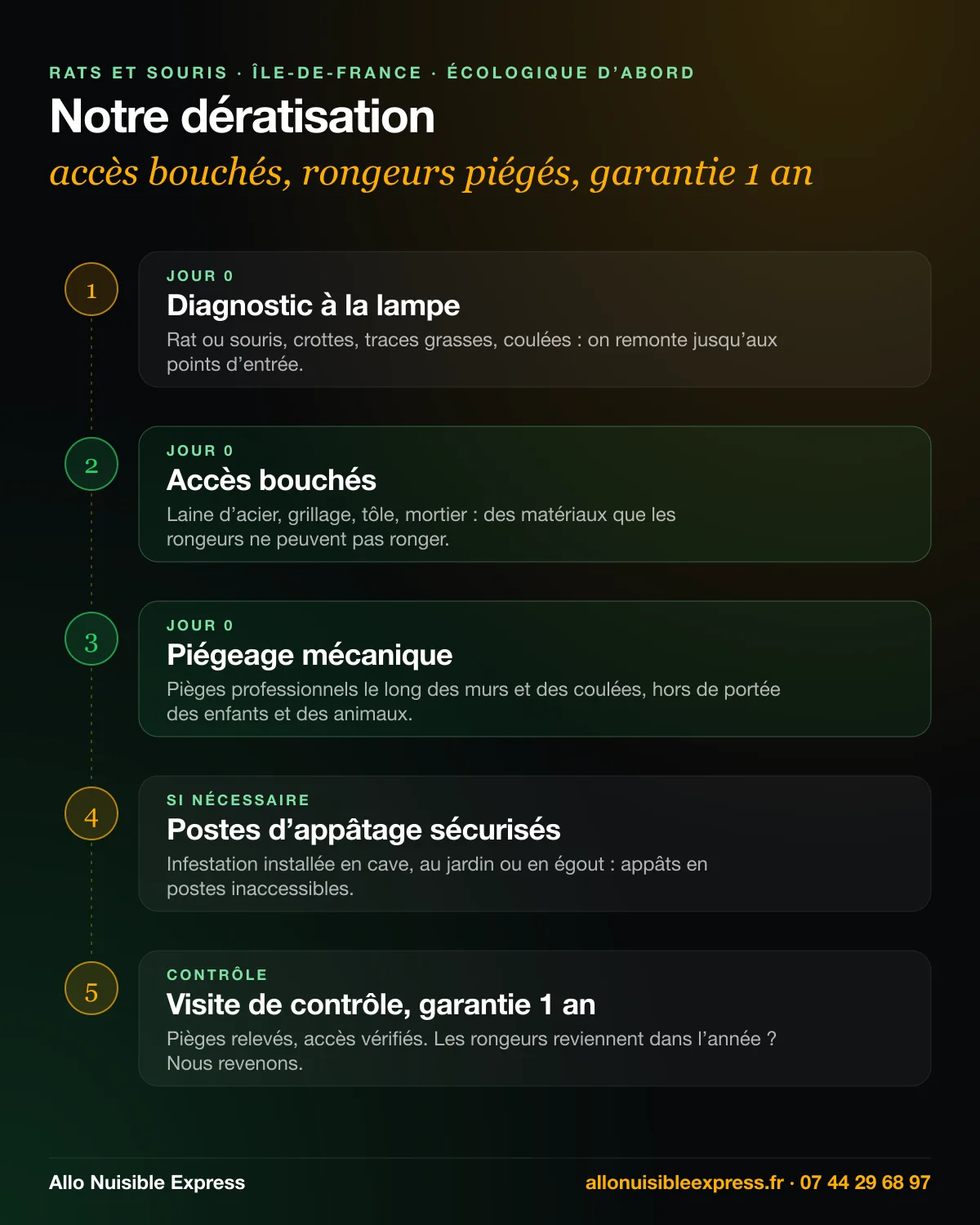 Infographie : dératisation en 5 temps, diagnostic à la lampe, accès bouchés, piégeage mécanique, postes d’appâtage sécurisés si nécessaire, visite de contrôle et garantie 1 an