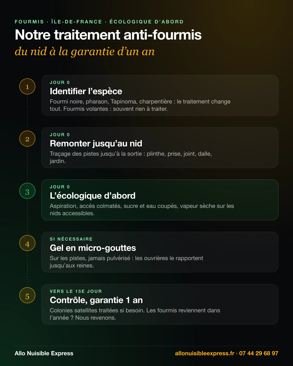 Infographie : traitement anti-fourmis en 5 temps, identification, piste jusqu’au nid, voie écologique d’abord, gel en micro-gouttes si nécessaire, contrôle et garantie 1 an